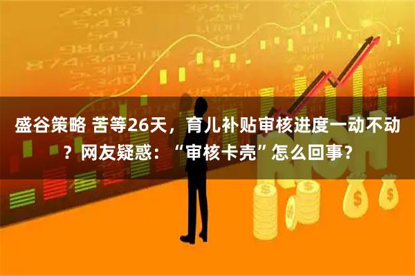 盛谷策略 苦等26天，育儿补贴审核进度一动不动？网友疑惑：“审核卡壳”怎么回事？