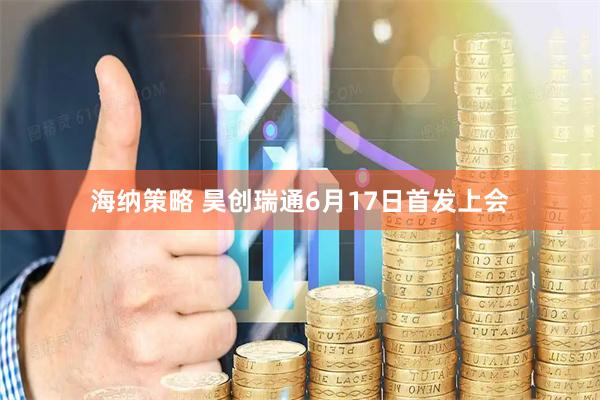 海纳策略 昊创瑞通6月17日首发上会