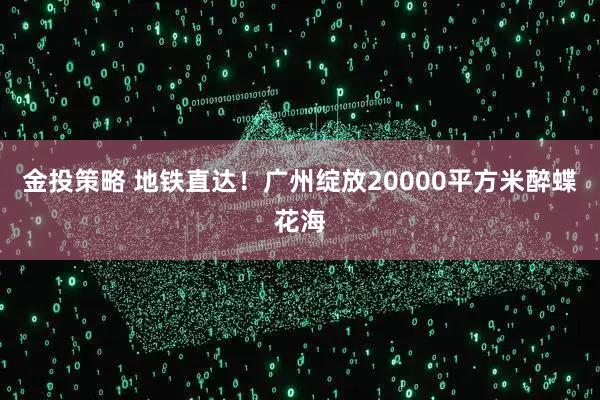 金投策略 地铁直达！广州绽放20000平方米醉蝶花海