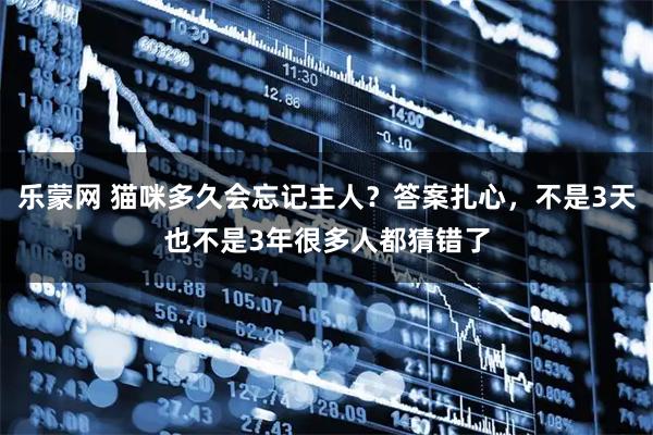 乐蒙网 猫咪多久会忘记主人?答案扎心,不是3天也不是3年很多人都猜错了