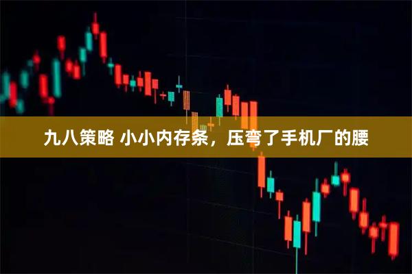九八策略 小小内存条,压弯了手机厂的腰